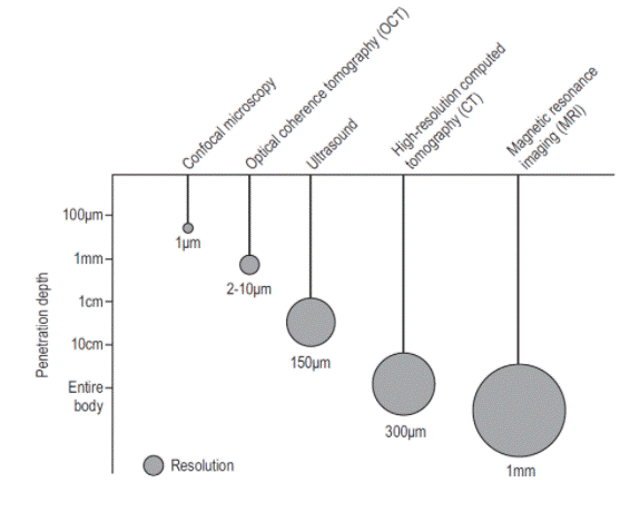 Diagram

Description automatically generated