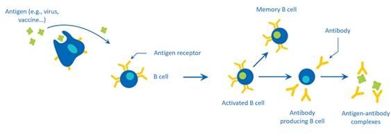 Diagram

Description automatically generated