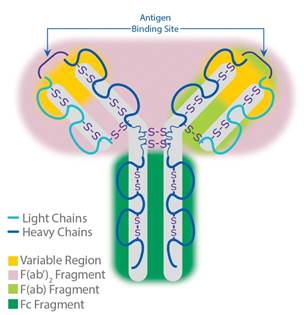 Diagram

Description automatically generated