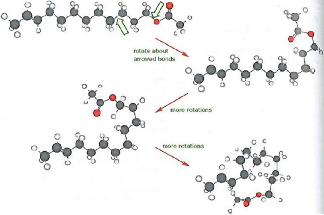 A diagram of a molecule

Description automatically generated