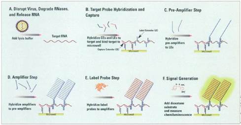 A diagram of a protuberance

Description automatically generated