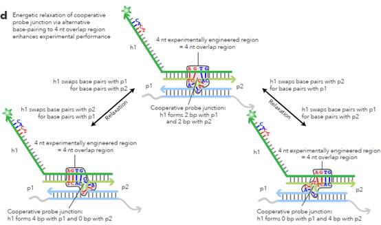 A diagram of a graph

Description automatically generated with medium confidence