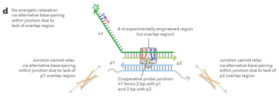 A diagram of a graph

Description automatically generated