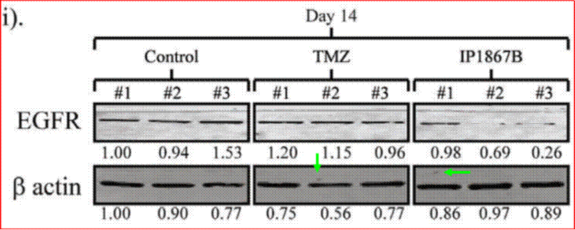 A diagram of a test result

Description automatically generated with medium confidence